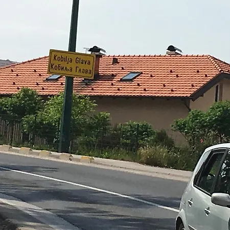 Διαμέρισμα Sena *